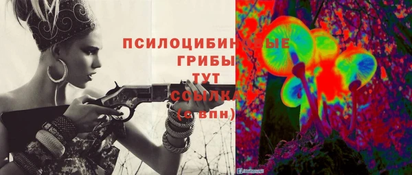Альфа ПВП Белокуриха