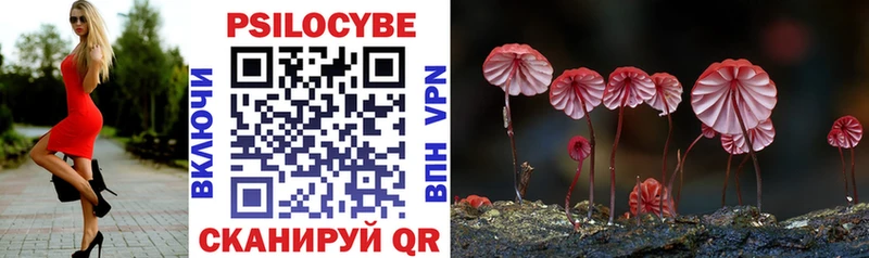 Галлюциногенные грибы мицелий  Будённовск 